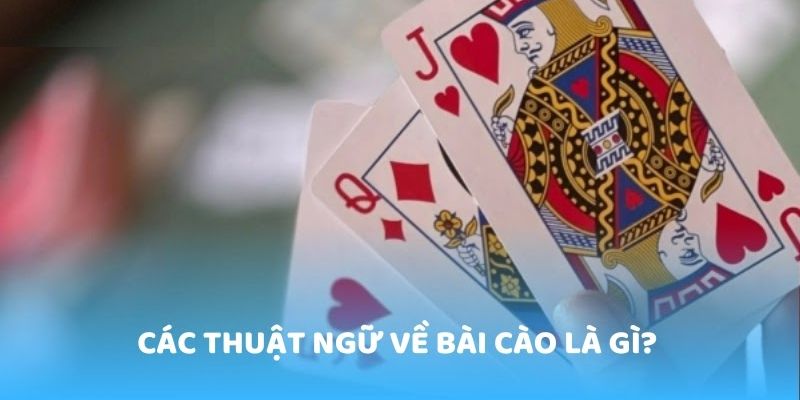 Các thuật ngữ thường sử dụng trong bài cào bạn cần biết